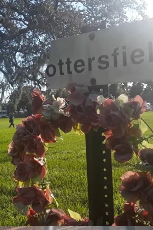 Постер: Pottersfield