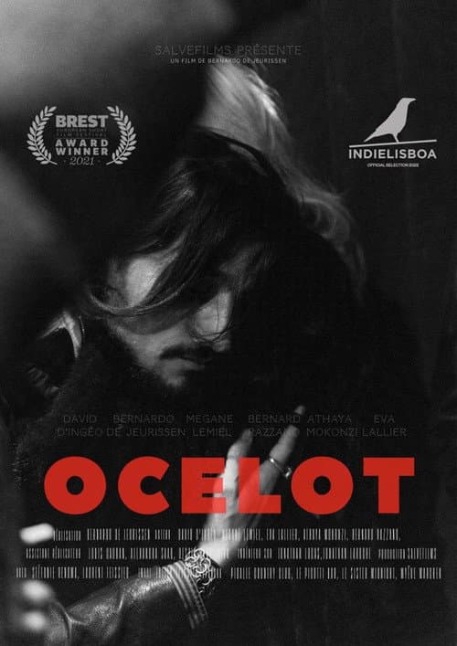 Постер: Ocelot