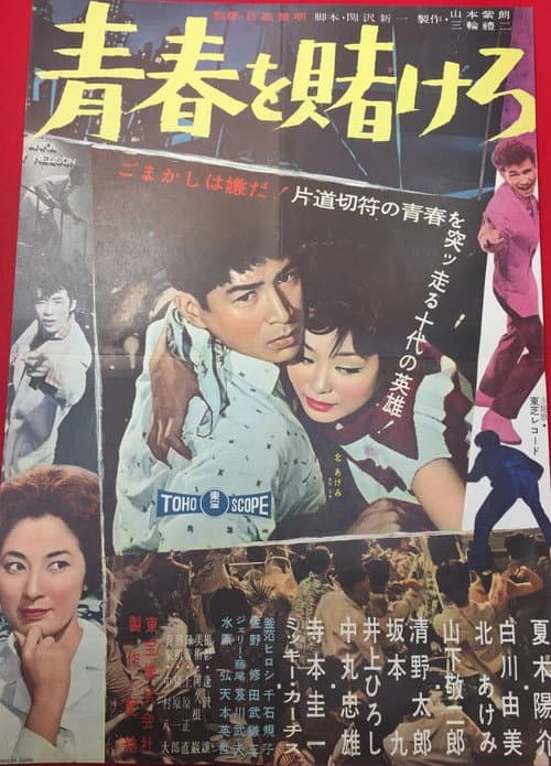Постер: 青春を賭けろ