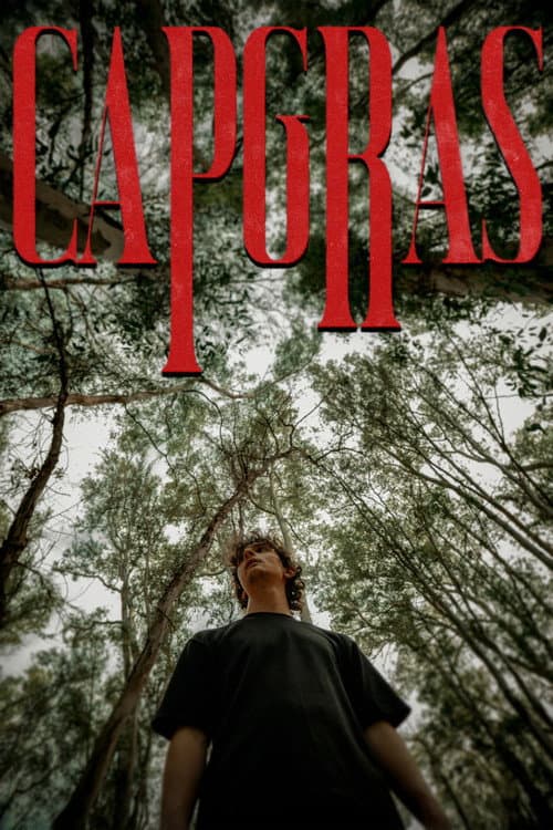 Постер: Capgras