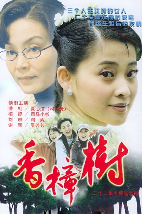 Постер: 香樟树
