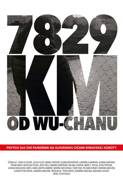 Постер: 7829 km od Wu-chanu