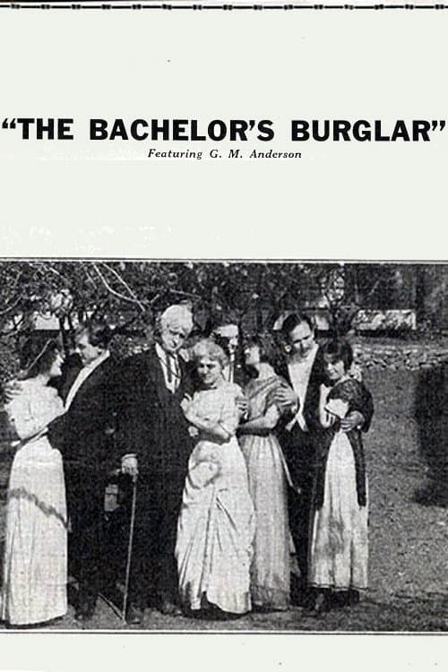 Постер: The Bachelor's Burglar