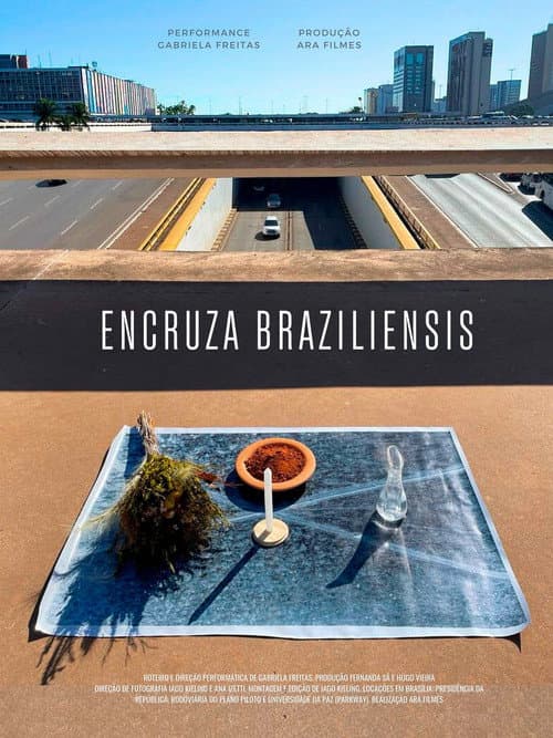 Постер: Encruza Braziliensis