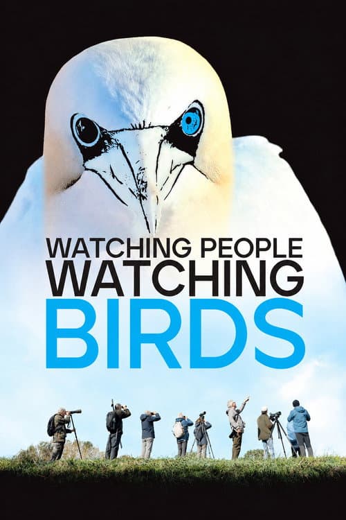Постер: Watching People Watching Birds