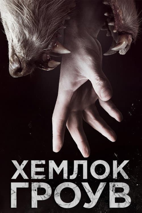 Кадр 2