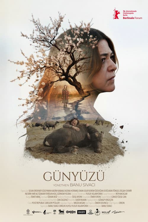 Постер: Günyüzü