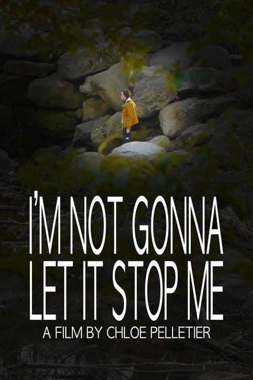 Постер: I'm Not Gonna Let It Stop Me