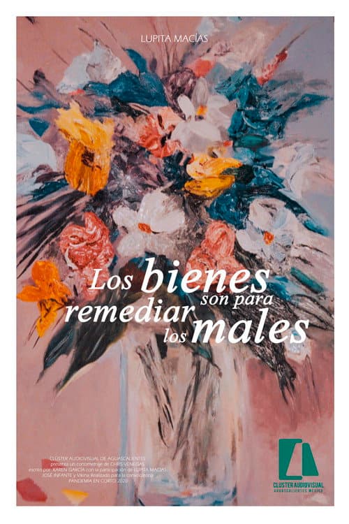 Постер: Los bienes son para remediar los males