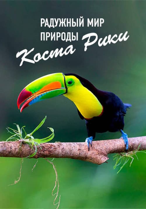 Постер: Радужный мир природы Коста-Рики