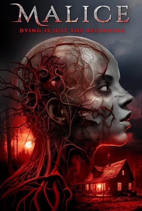 Постер: Malice