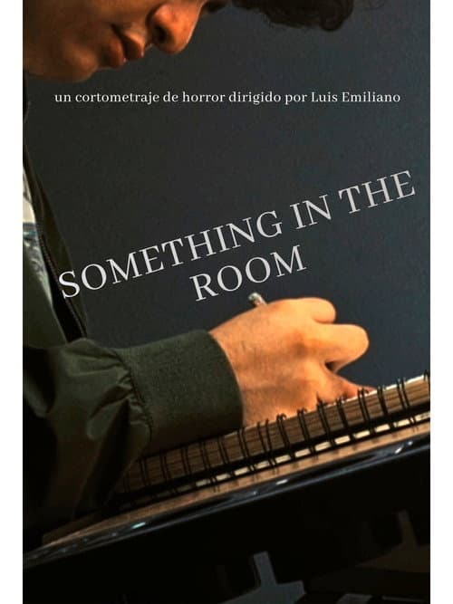 Постер: Something In The Room