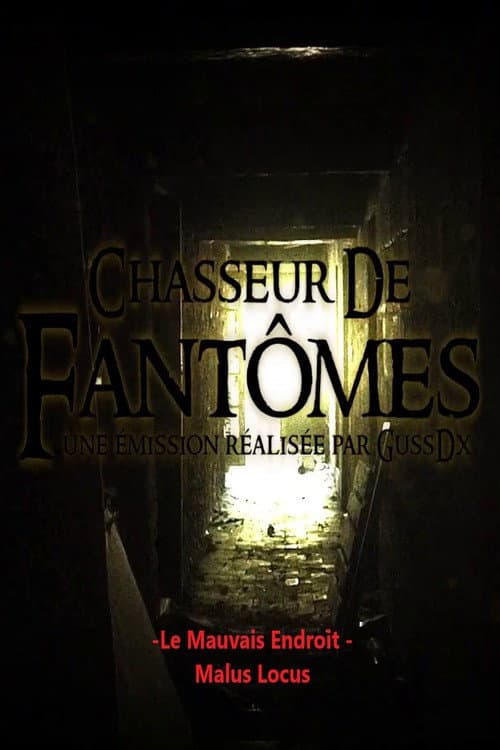 Постер: Chasseur de Fantômes : LE MAUVAIS ENDROIT / malus locus