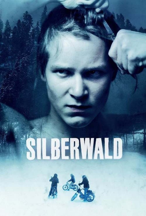 Постер: Silberwald