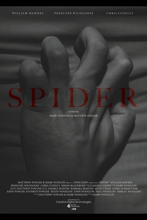 Постер: Spider