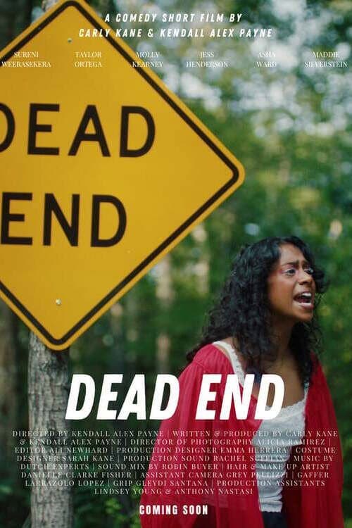 Постер: Dead End
