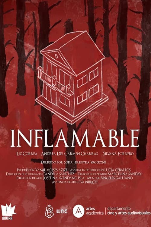 Постер: Inflamable