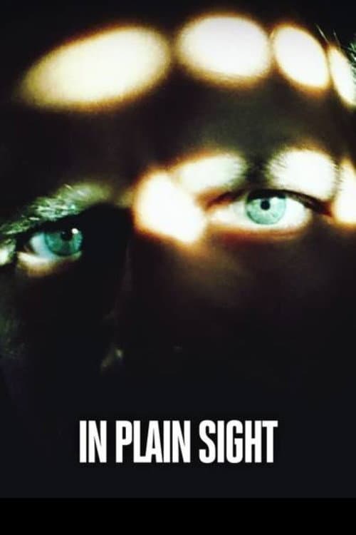 Постер: Killer in Plain Sight