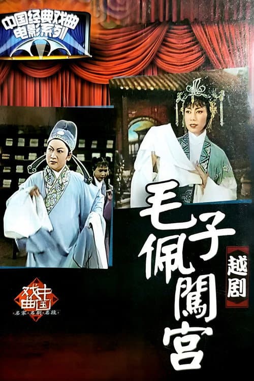 Постер: 毛子佩闯宫