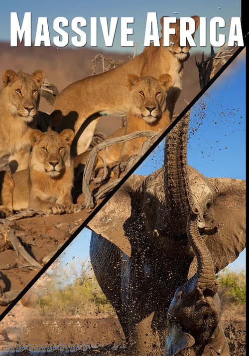 Постер: Merveilles d’Afrique
