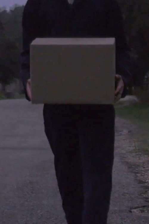 Постер: Delivery