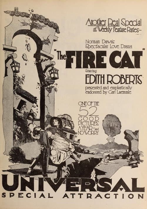 Постер: The Fire Cat