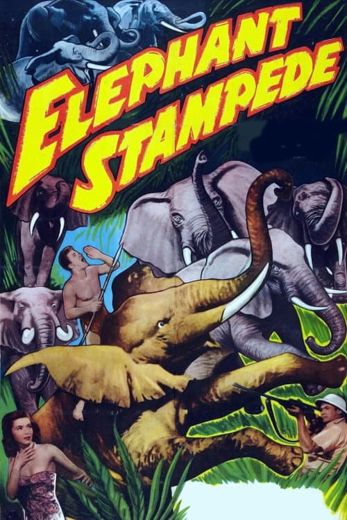 Постер: Elephant Stampede