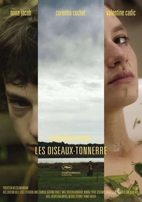 Постер: Les Oiseaux-tonnerre