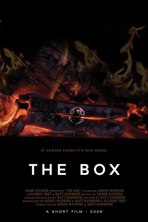 Постер: THE BOX