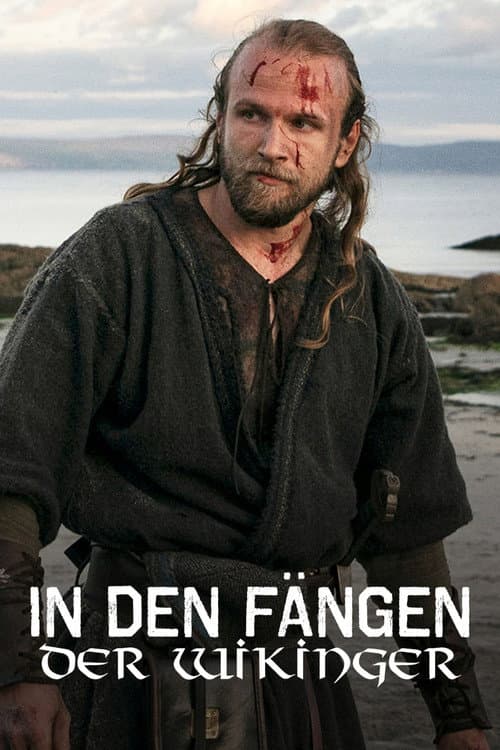 Постер: In den Fängen der Wikinger