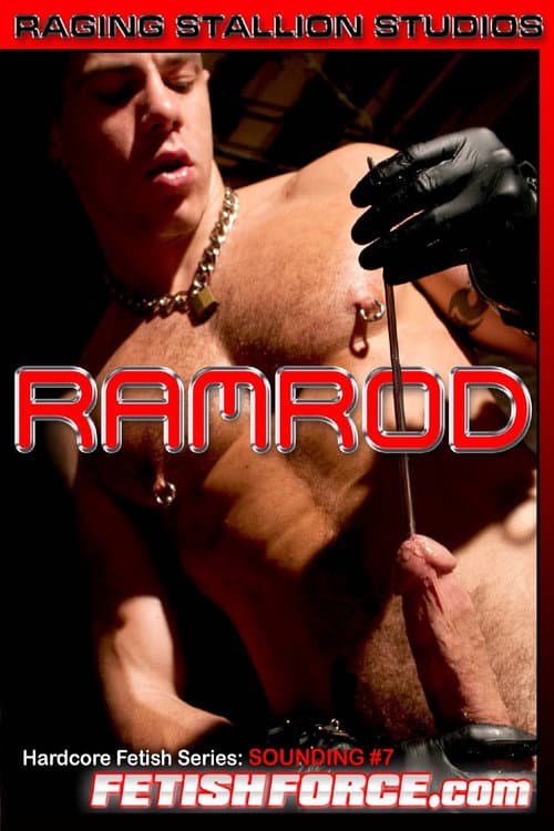 Постер: Hardcore Fetish Series: Sounding #7 - Ramrod