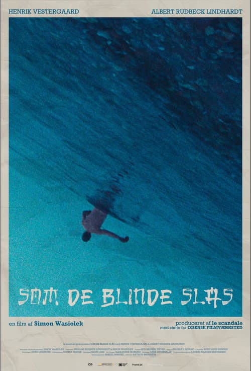 Постер: Som de blinde slås