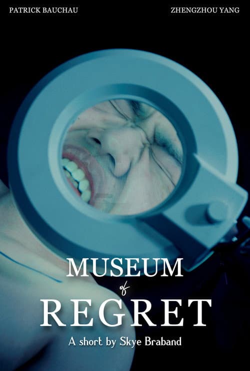 Постер: Museum of Regret