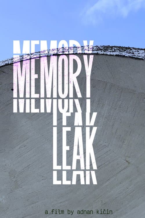 Постер: Memory Leak