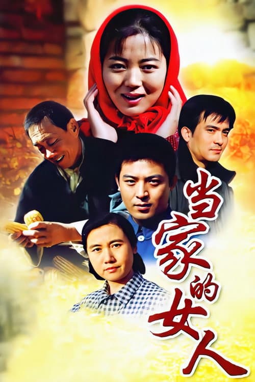Постер: 当家的女人