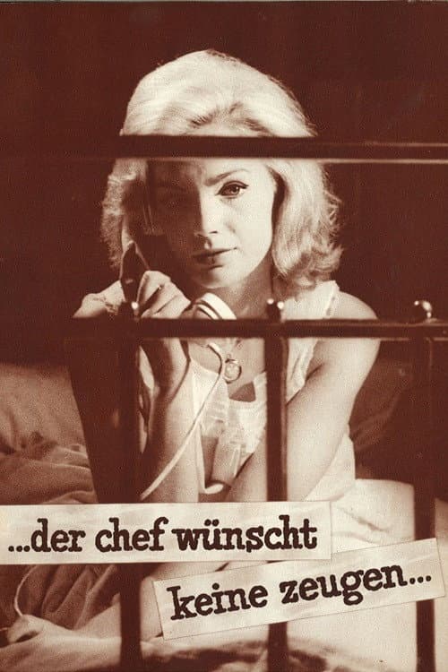 Постер: Der Chef wünscht keine Zeugen