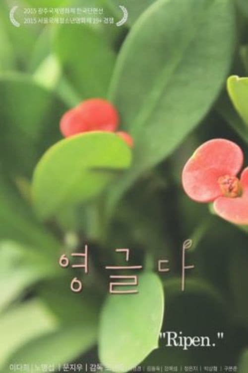 Постер: 영글다