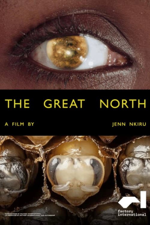 Постер: The Great North