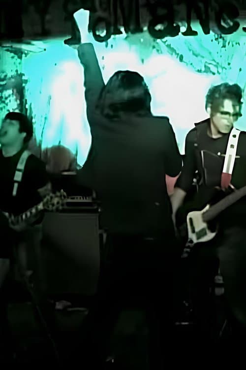 Постер: My Chemical Romance - Live at Vintage Vinyl 6/8/2004