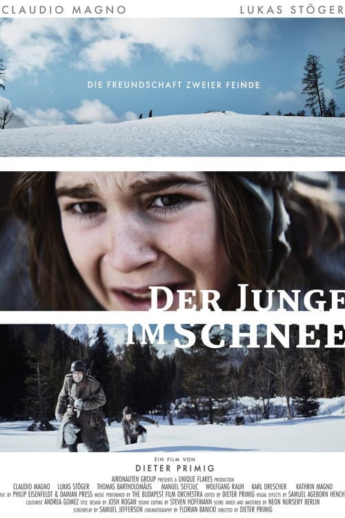Постер: Der Junge im Schnee