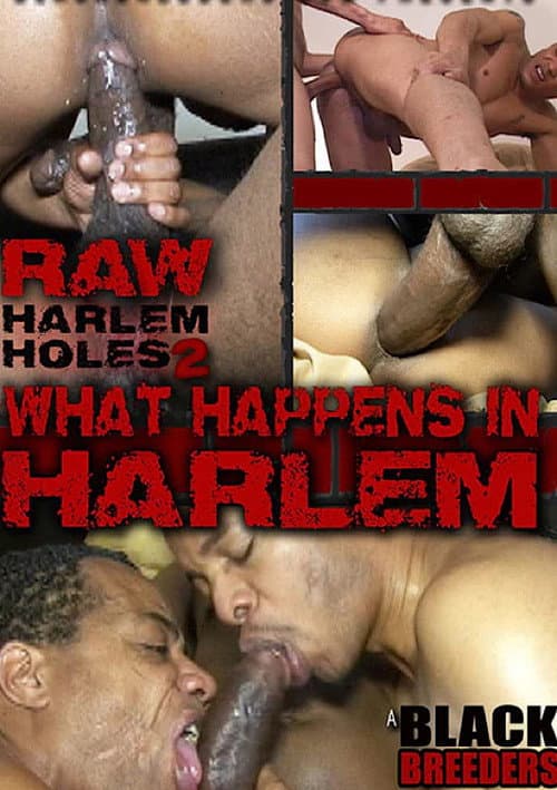 Постер: Raw Harlem Holes 2: What Happens in Harlem