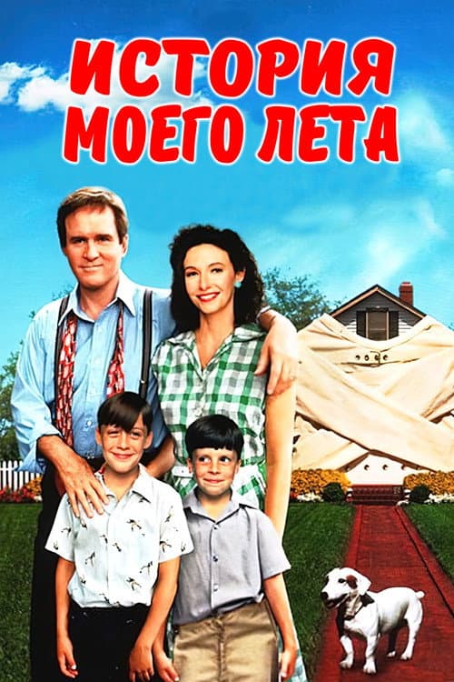 Постер: История моего лета