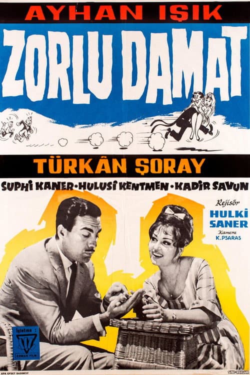 Постер: Zorlu Damat