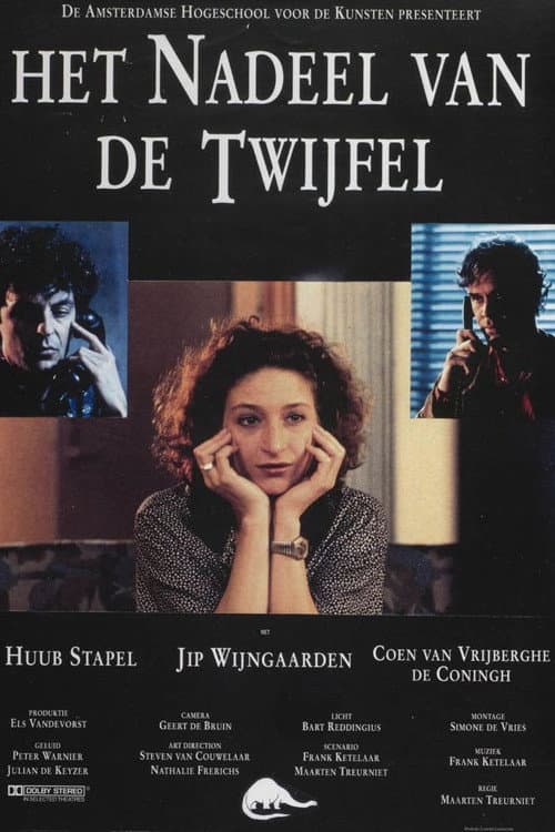 Постер: Het nadeel van de twijfel