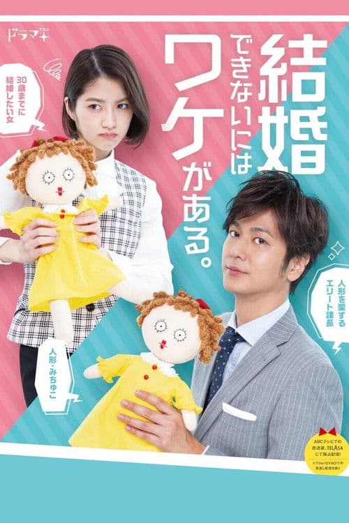 Постер: 結婚できないにはワケがある。