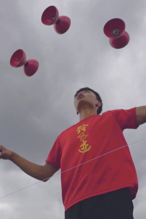 Постер: Why We Juggle