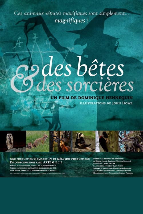 Постер: Des bêtes et des sorcières