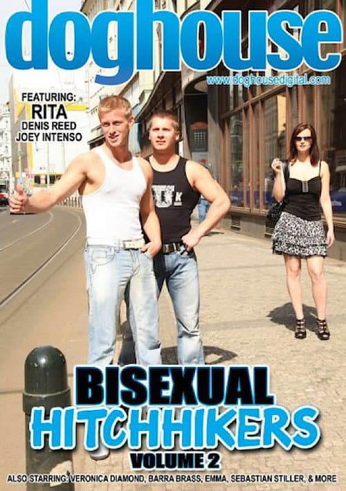 Постер: Bisexual Hitchhikers 2