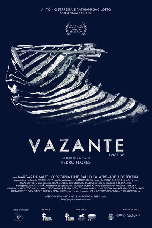Постер: Vazante