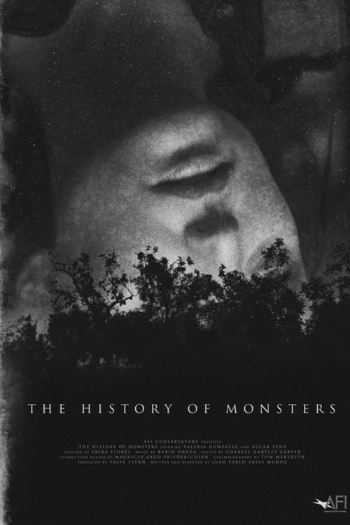 Постер: La historia de los monstruos